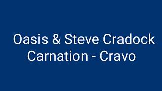 Oasis & Steve Cradock - Carnation - Tradução