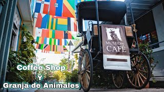 Museo del Café de Puerto Rico en el Pueblo de Ciales