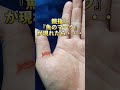 【手相】親指に『魚のマーク』が現れたら・・・