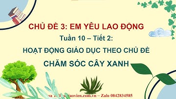 Giáo án powerpoint CĐ3 Tuần 10 | GA điện tử Hoạt động trải nghiệm 2 Cánh diều