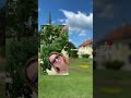 🎯 Не откладывайте жизнь на потом!