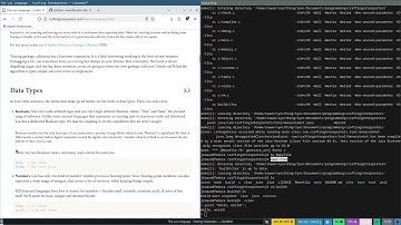 Crafting Interpreters: The Lox Language