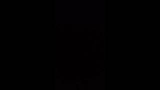 Sky Fog Monster Sounds Effects 1