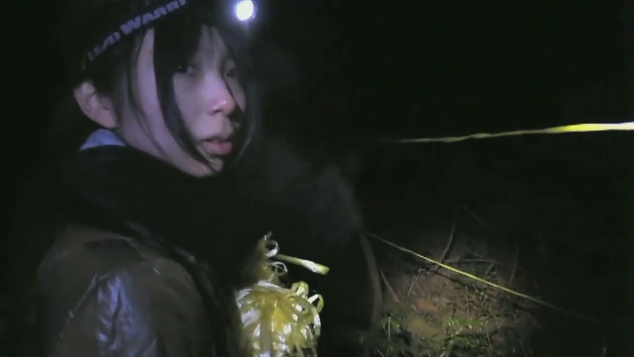 【衝撃】樹海探索をしていたらとある異変が…