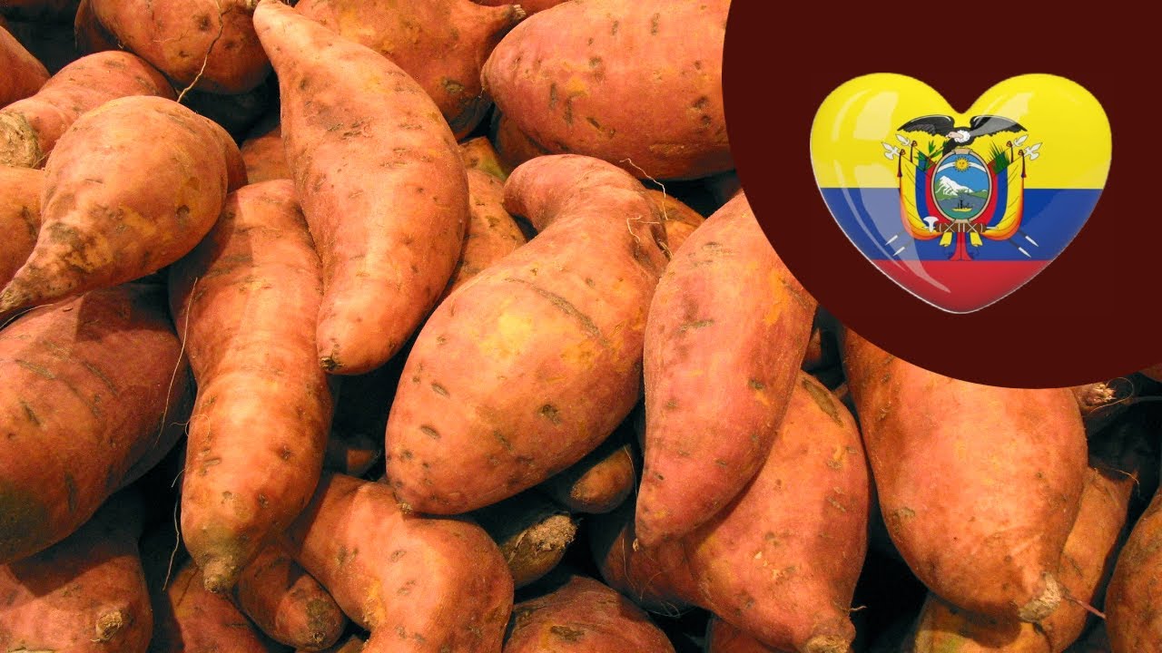 Sweet Potatoes in Ecuador YouTube