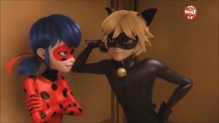 Respuesta Reto Fandub De Asuna Kirigakure Se Chat Noir Miraculous Ladybug