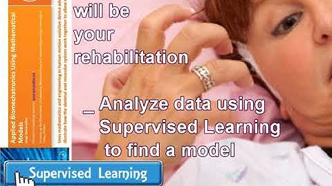 Artificial Intelligence Chapter VI Book:Applied Biomechatronics Using mathematicals Models AI