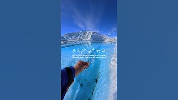 عينا فيها تسمى سلسبيلا | محمد اللحيدان 😍 #محمد_اللحيدان #تلاوة #quran #اكسبلور #قران_كريم #لايك
