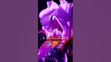 Surah Az-Zumar | سورة الزمر#الزمر #زمر#azzumar #zumar  #creatorsearchinsights#القرآن #القران_الكريم
