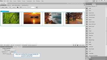 Using DMXzone Bootstrap 3 Thumbnails and Label Elements