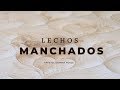 Apóstol German Ponce | Lechos Manchados | viernes 14 de septiembre 2018