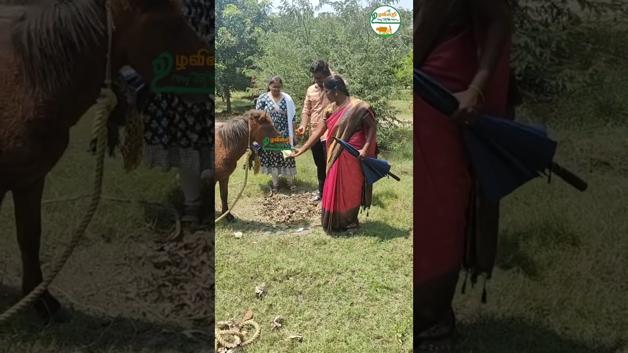 Explore Vaksana Farms | 54 Family Activities & 37 for Kids | 