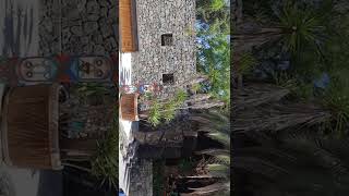 Parte Uno Del Teatro Del Loros Aves