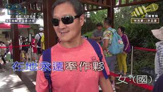 95.比翼雙飛/原唱者/林良歡vs許志豪/卡啦OK音樂伴唱