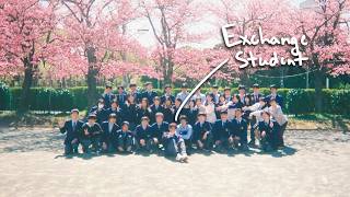 My Final Day as a First-Year Student in Japan 🇯🇵 screenshot 3