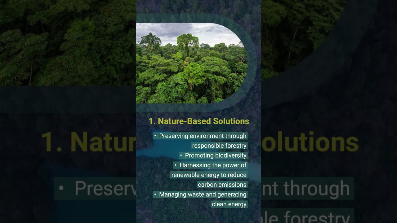 Positive Environmental Impact