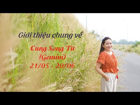 Video Tập 8: Giới thiệu chung về cung Song Tử (Gemini) |... - youtube