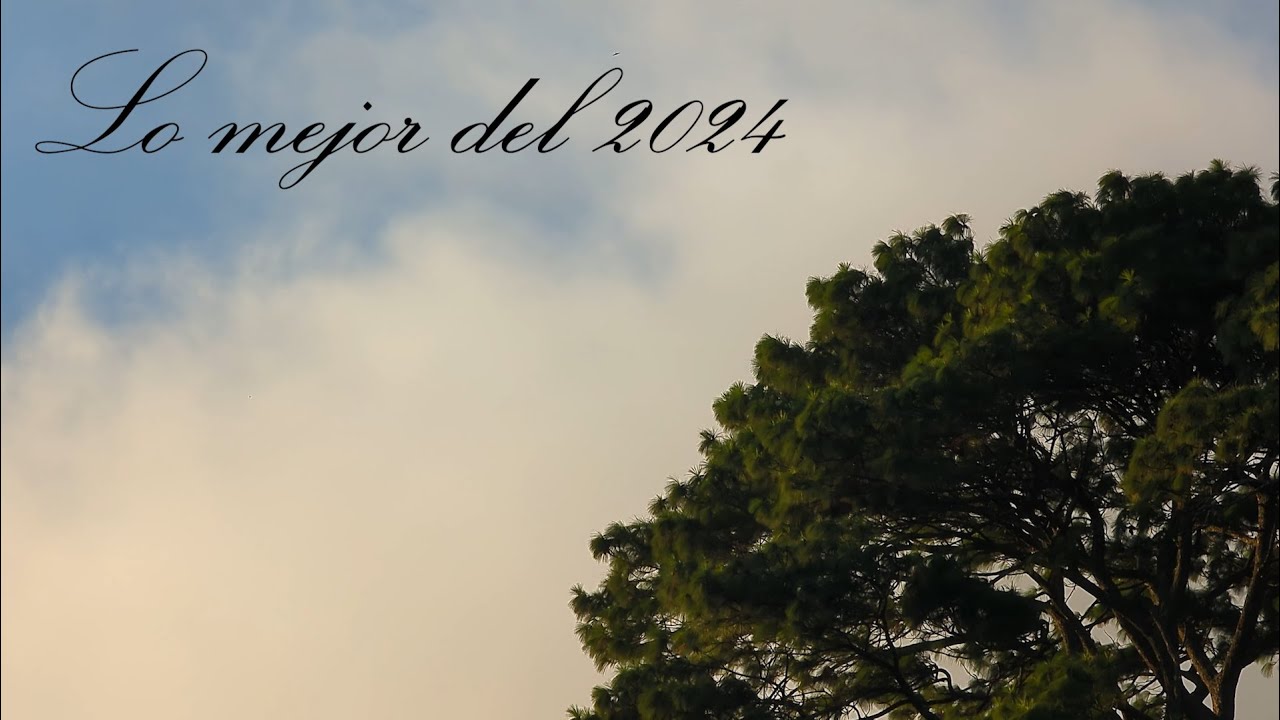 Lo mejor del 2024