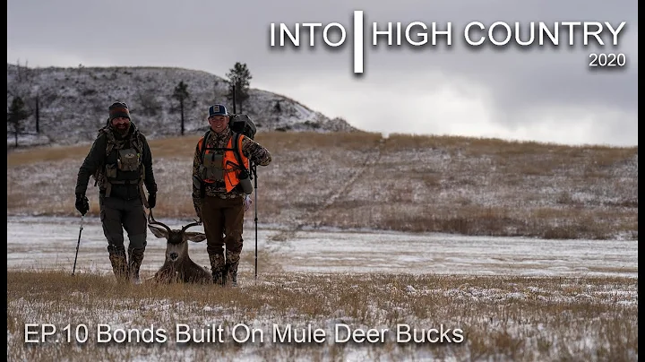 Bonds Built on Mule Deer Bucks