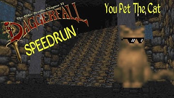 PET THE DAGGERFALL CAT SPEEDRUN
