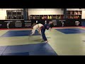 Judo Gymnastics