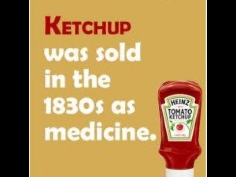 Did you know? interesting facts. Did you know. Facts about internet. Did you know? interesting facts. Did you know.