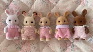 𝓐 𝓬ollector’s 𝒹𝓇ℯ𝒶𝓂 ౨ৎ WISHLIST FULFILLED ❤︎ ⋆˚꩜｡ 