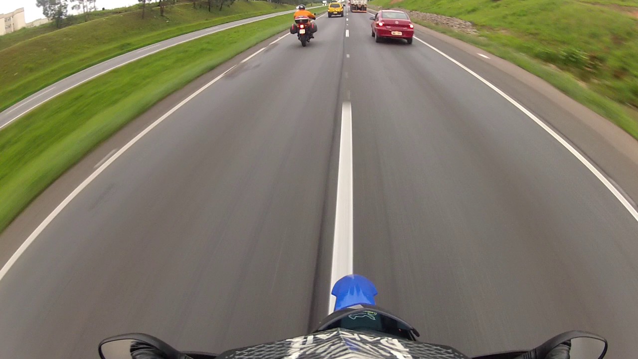 Cavalos na pista quase causa acidente..