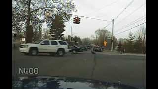 Information TURKEY STOPS TRAFFIC - LANSING, MI News