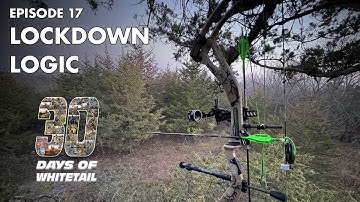 LOCKDOWN LOGIC- My approach to hunting the lock down rut phase. - D.O.W. Ep17