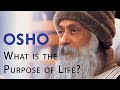 OSHO What Is The Purpose Of Life OSHO What Is The Purpose Of Life
