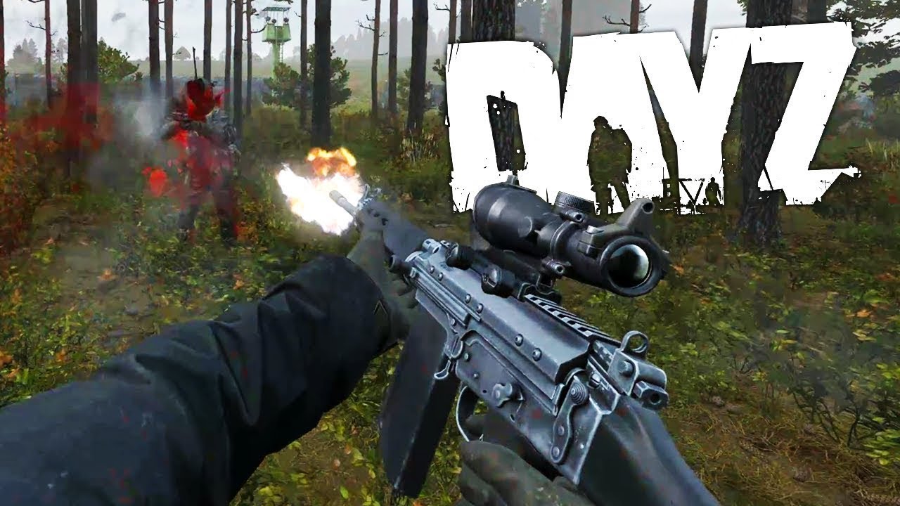 Dayz gun