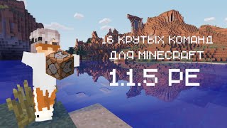 16 крутых команд для командного блока Minecraft 1.1.5