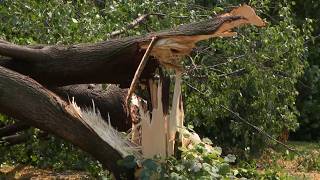 Widespread damage reported after Wisconsin tornado