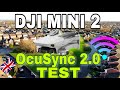 DJI MINI 2 | OcuSync 2.0 TEST