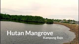 Story WA Hutan Mangrove #likee #Snackvideo #cocoFun