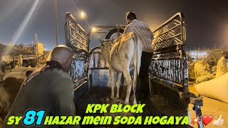 Haftay Ki Sham Northern Bypass Mandi || Latest Rates Update || 81K Mein Soda Hogaya❤️💥👍🏻