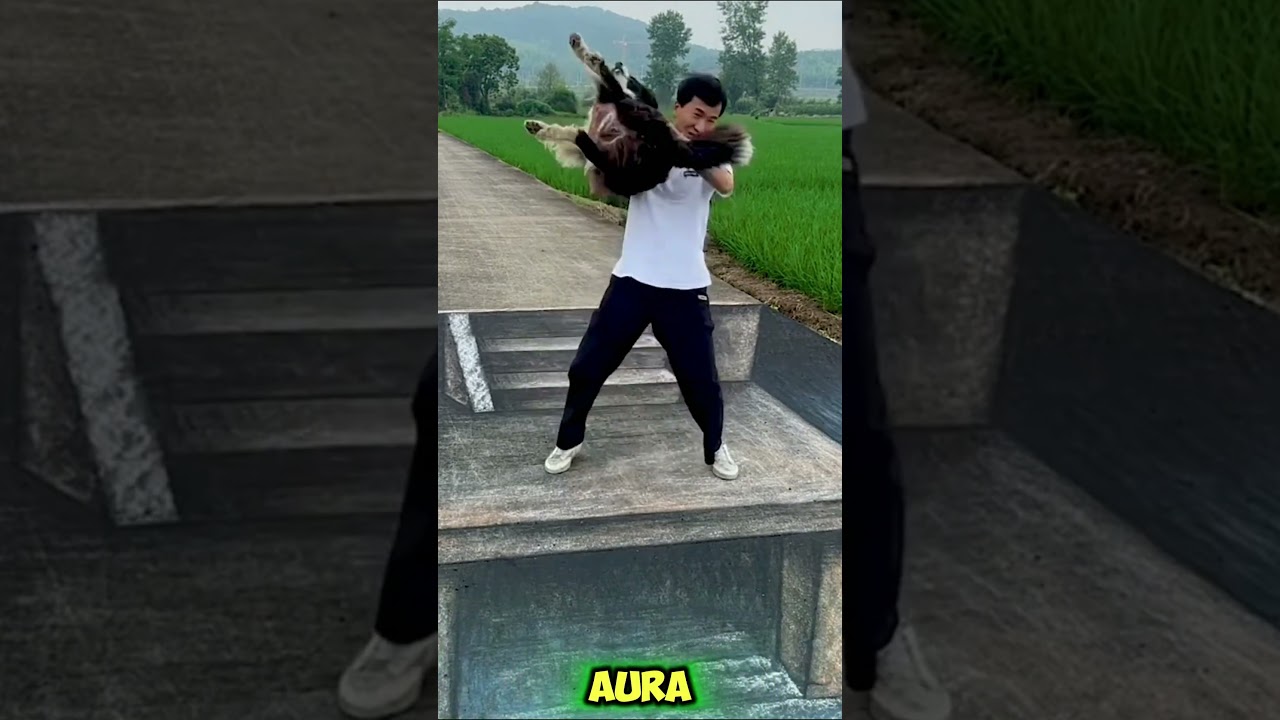 Dog vs. 3D Street Illusion &ndash; Who Wins? 🐶🧠 #animals #dog #trending #shorts #illusion #streetart