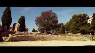 Rocket Rooster Nature Looks Demo