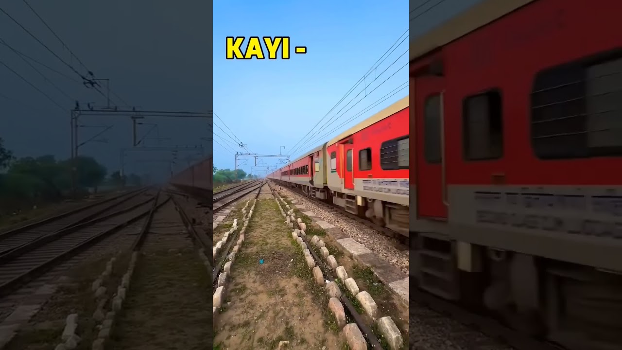 Root. cover kr legi ???? 🤯🤯🤯 