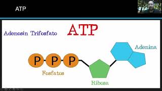 Clase 3: Metabolismo Clase 3: Metabolismo