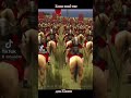 Rome total war дом Юлиев #history #история #games #military #memes #война #gameplay #игры