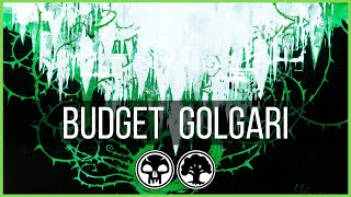 Budget Deck | Golgari Insidious Roots | Standard Deck for Beginners | MTGA
