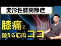 膝痛で鍛えるべき筋肉【内転筋】