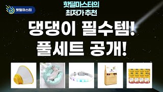 강아지 필수템 대방출! 보양대첩부터 산책용품, 방석까지!