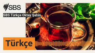 Sbs Türkçe Oktay Şahin Sbs Turkish - Sbs Türkçe