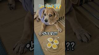 계란(k-food) 건강에 최고!! #건강정보