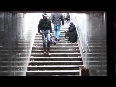 ბოლნისელი ქოვბოი