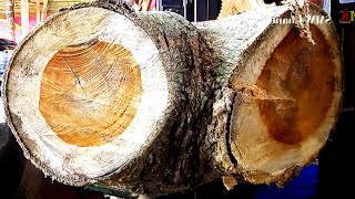 Супер роскошные бревна экспортируют материал в Саудовскую Аравию. лесопилка. screenshot 4
