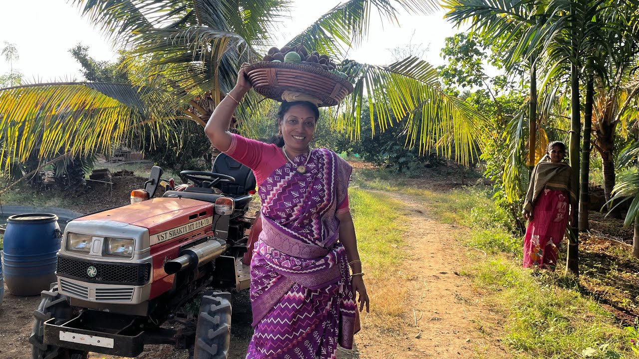 சுவையான milk fruit juice நம் வீட்டில் செய்யலாமா?